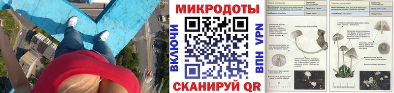 Галлюциногенные грибы Cubensis  Купить где  Печора 